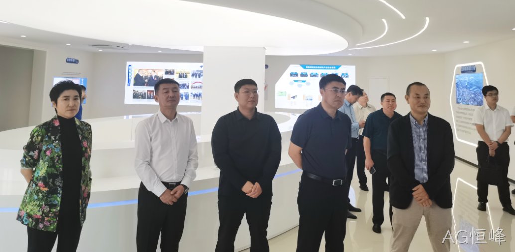 李兵赴AG恒峰（上海）新材料研究院考察(图1)